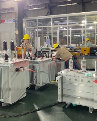 distribution transformer testing