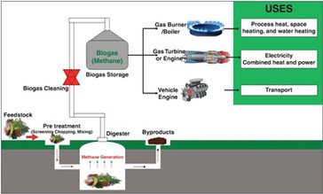 ما هو تحول الطاقة الذي يحدث في محطة طاقة الكتلة الحيوية؟