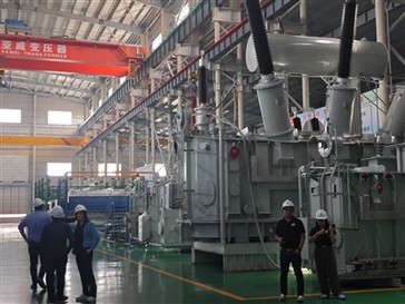 نرحب بالعملاء من Delta Stee & Aceros de Guatemala لزيارة Jiangsu Yawei Transf...