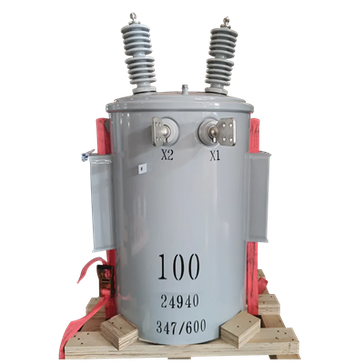 كيف يتم حماية محولات القطب المثبتة من البرق؟